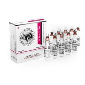 Buy TEST-E 300 (TESTOSTERONE ENANTHATE) 10 AMPS 300MG/1ML