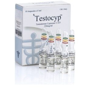 Testocyp 10amps 250mg/ml product image