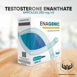 Genisq Pharma Enagenic (TESTOSTERONE ENANTHATE) 250mg/ml 10amps product image