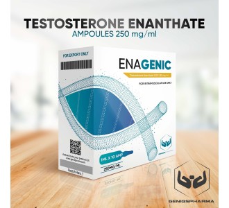Genisq Pharma Enagenic (TESTOSTERONE ENANTHATE) 250mg/ml 10amps product image