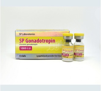 SP Laboratories HCG 1000iu 1 vial product image