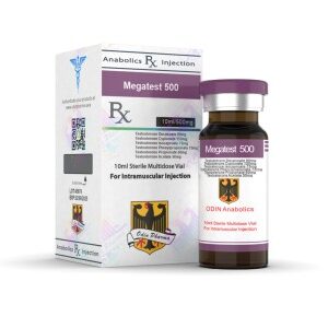 Odin Megatest 500 product image