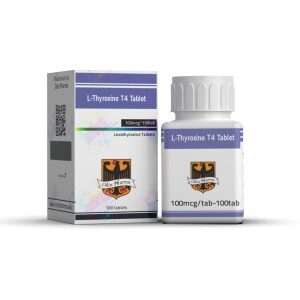 Odin L-Thyroxine T4 100mcg 100tabs Odin L-Thyroxine T4 100mcg 100tabs product image