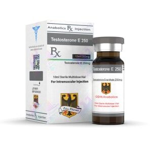 Odin Testosterone Enanthate 250 product image