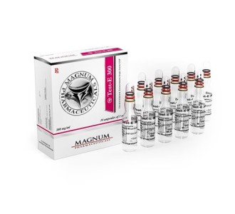 TEST-E 300 (TESTOSTERONE ENANTHATE) 10 AMPS 300MG/1ML product image