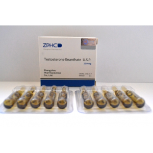 Testosterone Enanthate 10 amps 250mg/ml Testosterone Enanthate 10 amps 250mg/ml product image