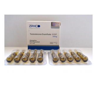 Testosterone Enanthate 10 amps 250mg/ml product image